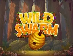 Play the Wild Swarm slot by Push Gaming on Wildsino Casino